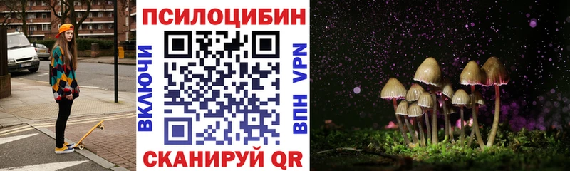 Псилоцибиновые грибы прущие грибы  mega   Осинники  купить закладку 