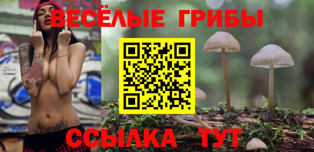 сколько стоит  Галлюциногенные грибы ЛСД  Вход с VPN  Осинники 